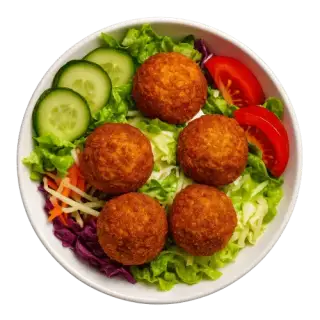 Falafel Teller bestellen Wuppertal